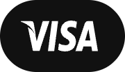visa payment logo